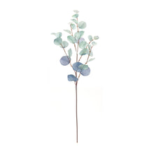 Load image into Gallery viewer, Blue Silver Dollar Eucalyptus Leaf Spray (Set of 6)
