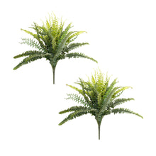 Load image into Gallery viewer, Mixed Fern Foliage Bush (Set of 2)
