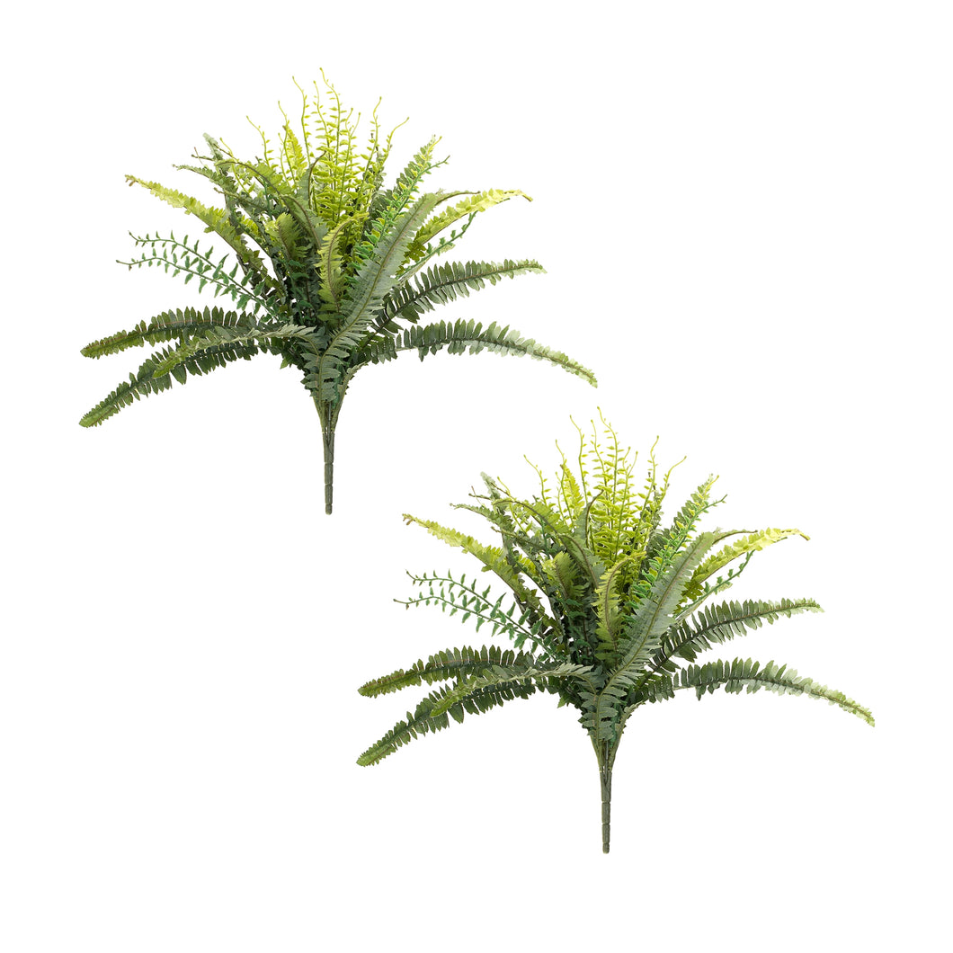 Mixed Fern Foliage Bush (Set of 2)
