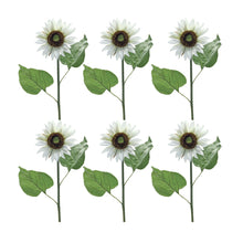 Load image into Gallery viewer, White Sunflower Floral Stem (Set of 6)
