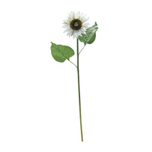 Load image into Gallery viewer, White Sunflower Floral Stem (Set of 6)
