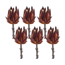 Load image into Gallery viewer, Burgandy Protea Stem (Set of 6)
