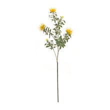 Load image into Gallery viewer, Yellow Flocked Protea Spray (Set of 6)
