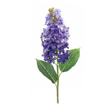 Load image into Gallery viewer, Varigated Purple Lilac Flower Stem (Set of 6)
