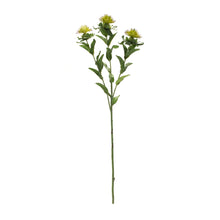Load image into Gallery viewer, Green Thistle Floral Spray (Set of 6)

