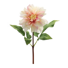 Load image into Gallery viewer, Coral Pink Dahlia Flower Stem (Set of 6)
