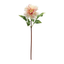 Load image into Gallery viewer, Coral Pink Dahlia Flower Stem (Set of 6)
