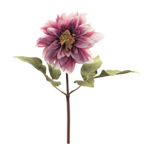 Load image into Gallery viewer, Purple Dahlia Flower Stem (Set of 6)
