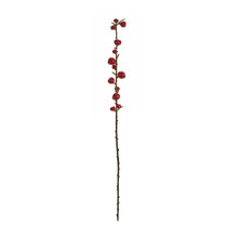 Load image into Gallery viewer, Red Berry Twig Stem (Set of 6)
