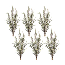 Load image into Gallery viewer, Leptospermum Flower Bundle (Set of 6)

