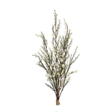 Load image into Gallery viewer, Leptospermum Flower Bundle (Set of 6)
