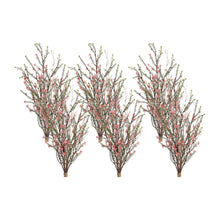 Load image into Gallery viewer, Leptospermum Flower Bundle (Set of 6)
