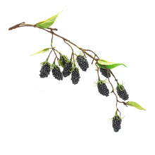 Load image into Gallery viewer, Blackberry Twig Vine (Set of 6)
