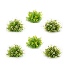 Load image into Gallery viewer, Varigated Mini Leaf Half Orb (Set of 6)
