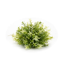 Load image into Gallery viewer, Varigated Mini Leaf Half Orb (Set of 6)
