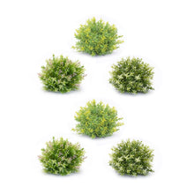 Load image into Gallery viewer, Varigated Mini Leaf Half Orb (Set of 6)

