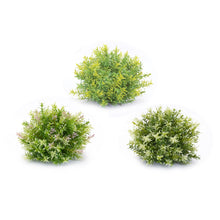 Load image into Gallery viewer, Varigated Mini Leaf Half Orb (Set of 6)
