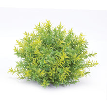 Load image into Gallery viewer, Varigated Mini Leaf Half Orb (Set of 6)
