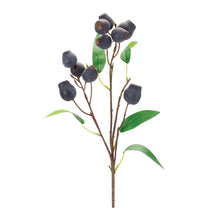 Load image into Gallery viewer, Plum Pod Spray (Set of 6)
