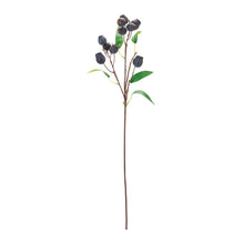 Load image into Gallery viewer, Plum Pod Spray (Set of 6)
