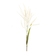 Load image into Gallery viewer, Astilbe Stem (Set of 6)
