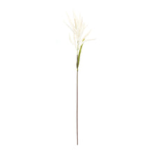 Load image into Gallery viewer, Astilbe Stem (Set of 6)
