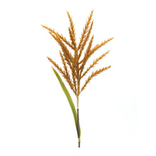 Load image into Gallery viewer, Astilbe Stem (Set of 12)
