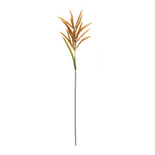 Load image into Gallery viewer, Astilbe Stem (Set of 12)
