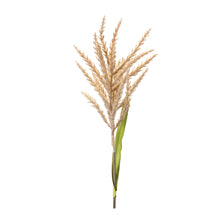 Load image into Gallery viewer, Astilbe Stem (Set of 12)
