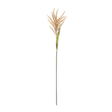 Load image into Gallery viewer, Astilbe Stem (Set of 12)
