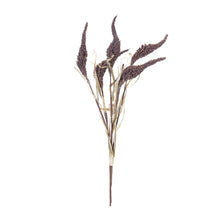 Load image into Gallery viewer, Seeded Harvest Bush (Set of 12)
