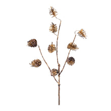 Load image into Gallery viewer, Pine Cone Spray (Set of 12)

