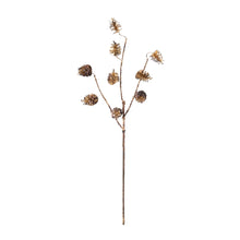 Load image into Gallery viewer, Pine Cone Spray (Set of 12)
