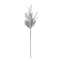 Load image into Gallery viewer, Pine Spray (Set of 6)
