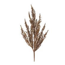 Load image into Gallery viewer, Harvest Plume Stem (Set of 6)
