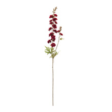 Load image into Gallery viewer, Delphinium (Set of 12)

