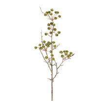 Load image into Gallery viewer, Winter Berry Pod Spray (Set of 12)
