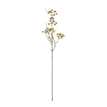 Load image into Gallery viewer, Winter Berry Pod Spray (Set of 12)
