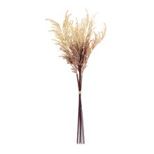 Load image into Gallery viewer, Plume Bundle (Set of 12)
