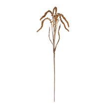 Load image into Gallery viewer, Amaranthus Stem (Set of 12)

