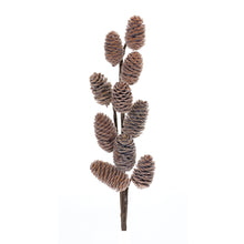 Load image into Gallery viewer, Pine Cone Spray (Set of 6)
