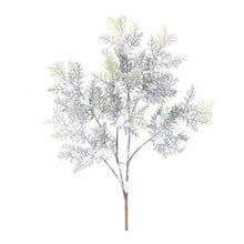 Load image into Gallery viewer, Flocked Cedar Branch (Set of 12)
