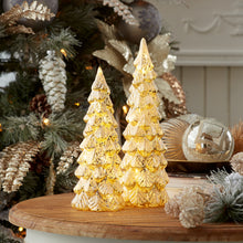 Load image into Gallery viewer, LED Glittered Glass Tree DŽcor (Set of 2)
