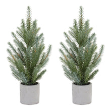 Load image into Gallery viewer, Pine Tree in Plastic Pot (Set of 2)
