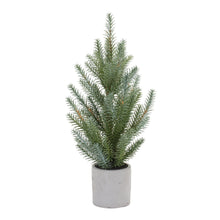 Load image into Gallery viewer, Pine Tree in Plastic Pot (Set of 2)
