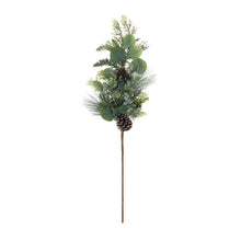 Load image into Gallery viewer, Pine and Eucalyptus Spray (Set of 2)
