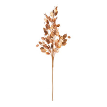 Load image into Gallery viewer, Metallic Silver Dollar Bush (Set of 6)
