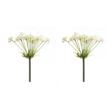 Load image into Gallery viewer, Queen Anne&#39;s Lace Stem (Set of 2)

