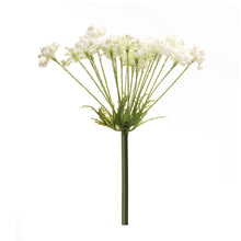 Load image into Gallery viewer, Queen Anne&#39;s Lace Stem (Set of 2)
