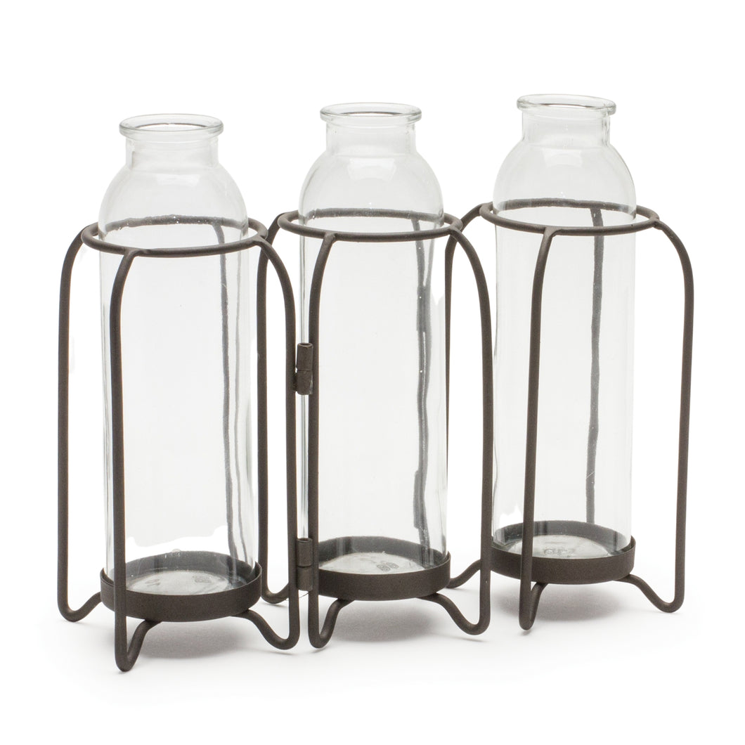 Bottle Vases in Iron Holder 19.75